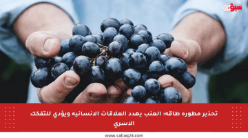 تحذير مطورة طاقة: العنب يهدد العلاقات الإنسانية ويؤدي للتفكك الأسري